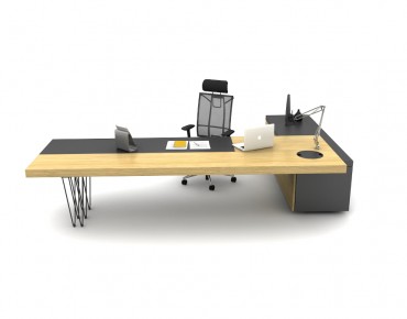 OLGA BUREAU DE DIRECTION