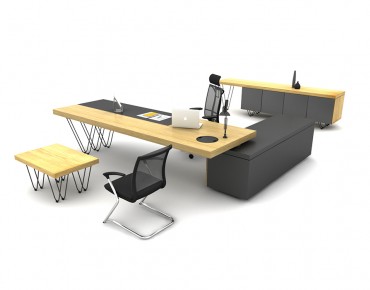 OLGA BUREAU DE DIRECTION