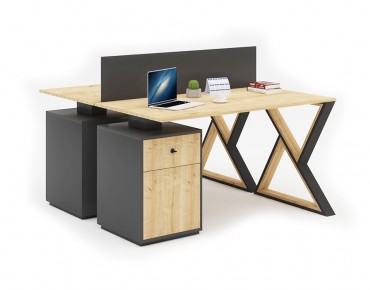 ELF DOUBLE STUDY DESK