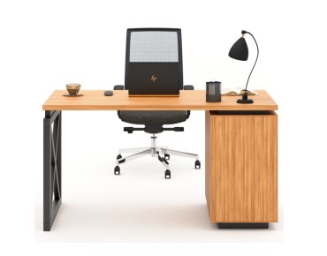 HOME & OFİS AREX ÇALIŞMA MASASI