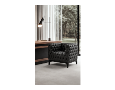 IMAGE SINGLE SOFA