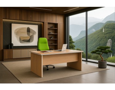 MAGALIE BUREAU DE CADRE
