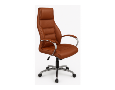 MIRA EXECUTIVE CHAIR BUY 10