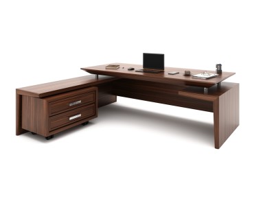 REINA BUREAU DE DIRECTION