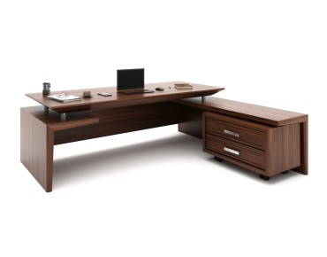 REINA BUREAU DE DIRECTION