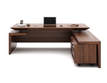 REINA BUREAU DE DIRECTION
