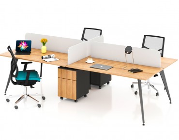 TARSUS 4 WORKSTATION