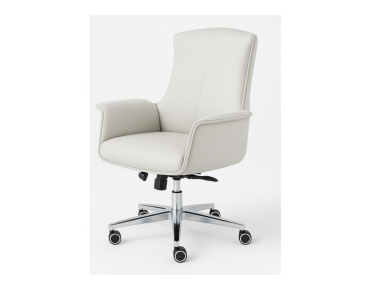 CHAISE DE TRAVAIL TRÔNE