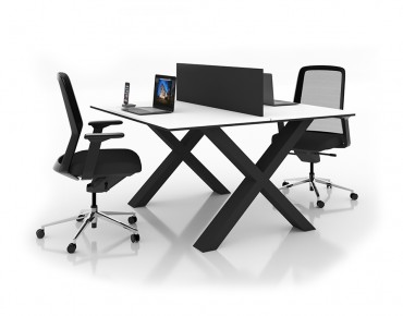 X 2 PERSON WORKSTATION DESK