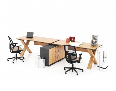 X HORIZONTAL 2 PERSON WORKSTATION DESK