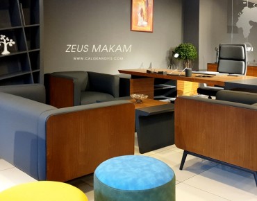 ZEUS BUREAU DE DIRECTION