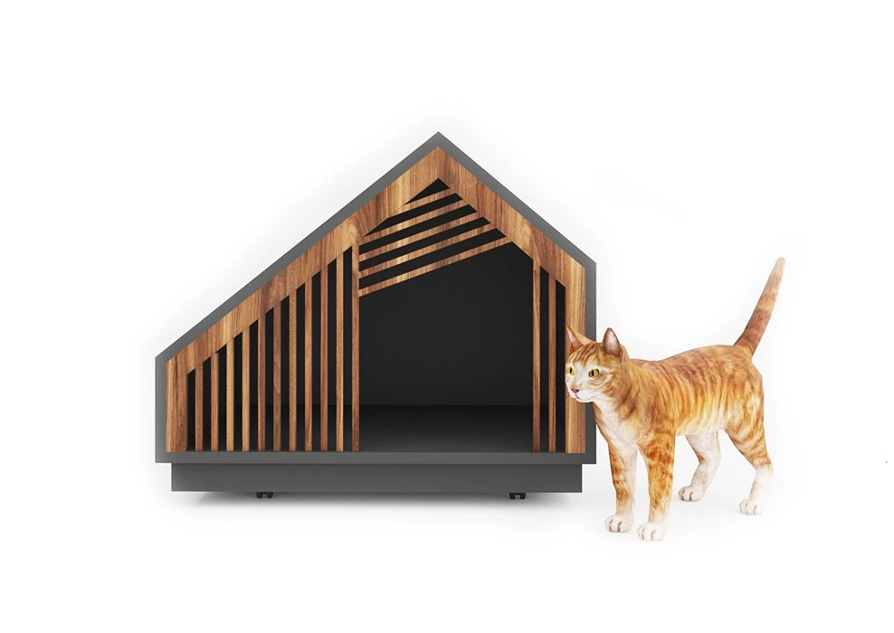 Patı Cat Hole