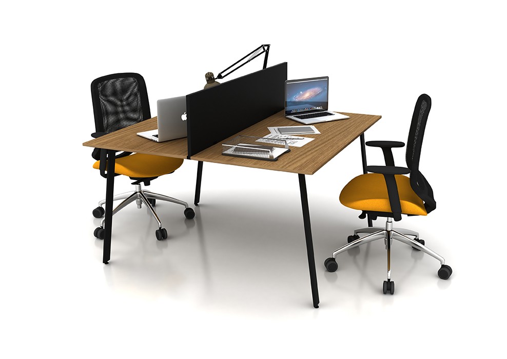 VERA 2 PERSON WORKSTATION DESK