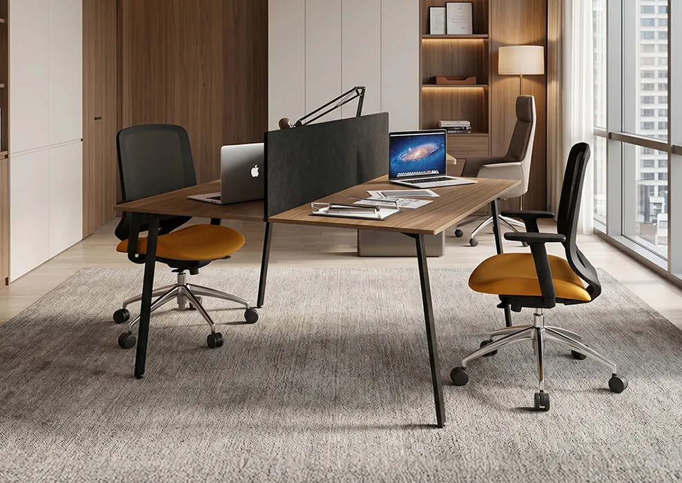 Vera 2 Person Workstatıon Desk