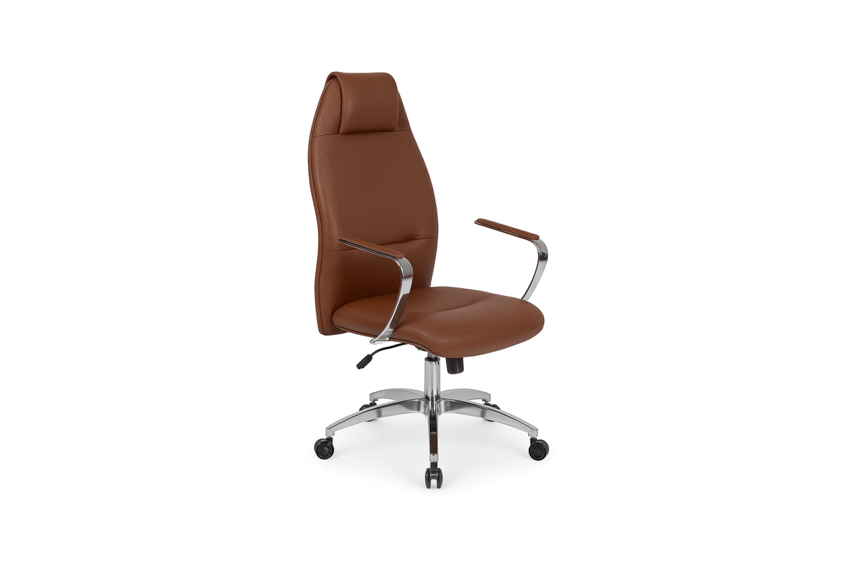 VERA MANAGER 10 ACHETER