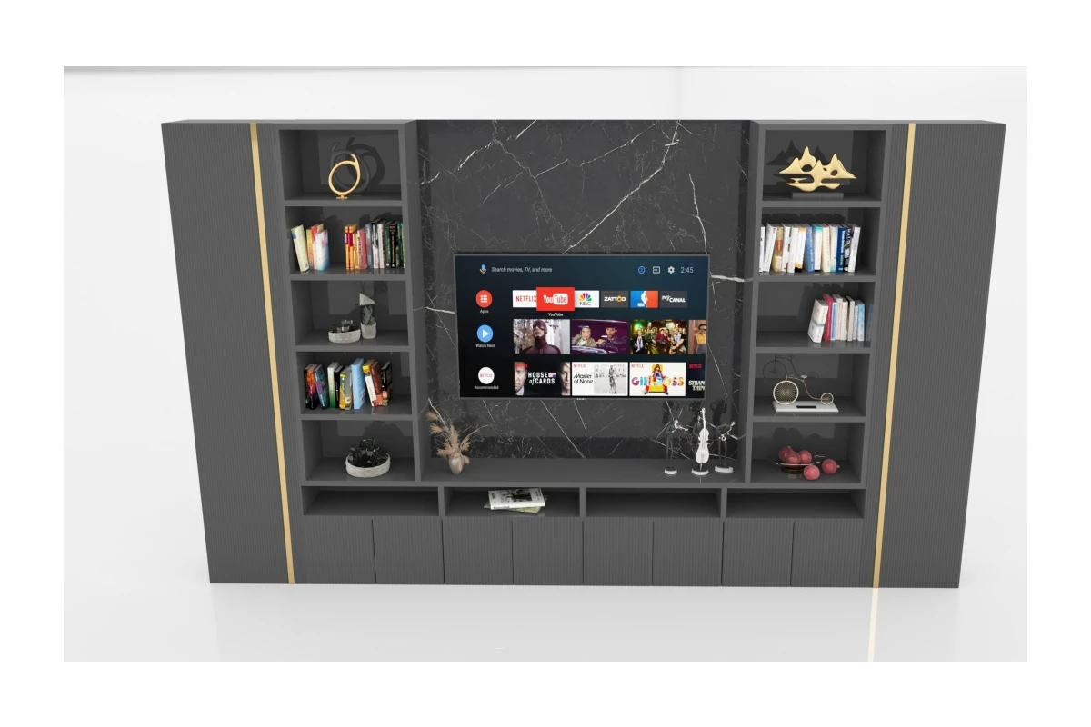 WORLD TV UNIT