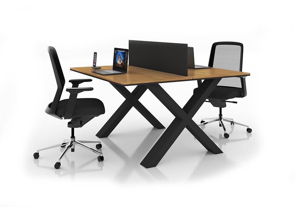 X 2 PERSON WORKSTATION DESK