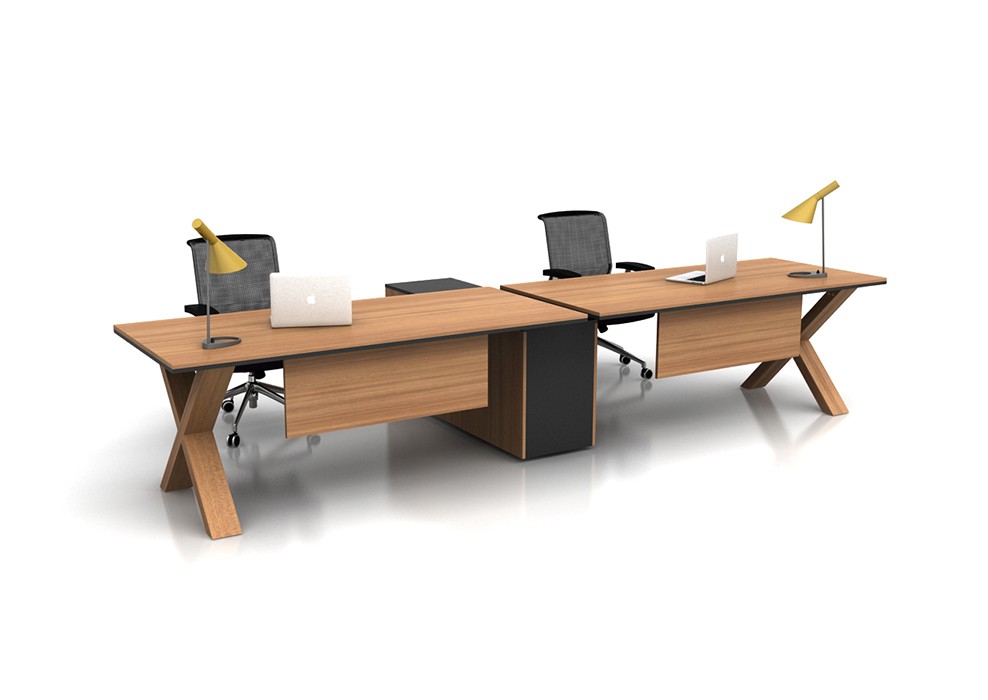 X HORIZONTAL 2 PERSON WORKSTATION DESK